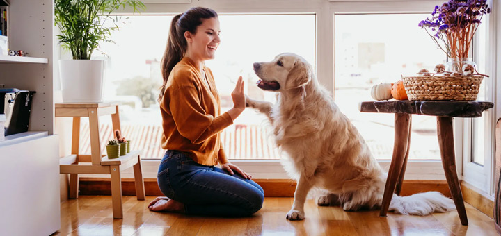 Beneficios de un departamento Pet Friendly